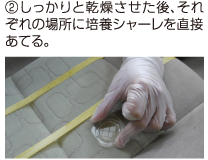 未施工、市販の除菌剤、オールクリアの3箇所に培養シャーレを置く実験