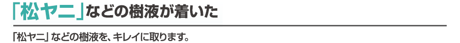 「松ヤニ」などの樹液が着いた