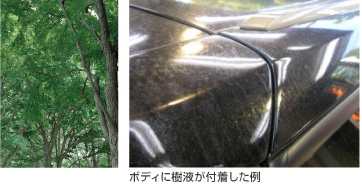 森林イメージとボディに樹液が付着した例